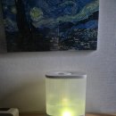 히어라이프 유한회사 | [배송 맛집] 건조한 겨울에 필수템 가정용가습기 유한회사 심플마인드