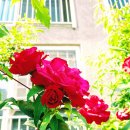 창신 공인중개사사무소 이미지