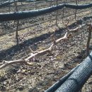 토리농장 이미지