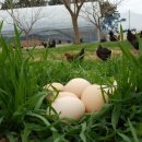 김제아리랑농원 이미지