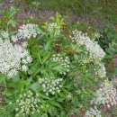 서파가든 이미지