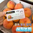 [서원농원] 농라마트 이용해서 달달복숭아 주문하기!!