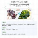 엠에스뷰티샵