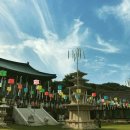 세종시 영평사 낙화축제! 이미지