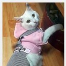 태양목장2 이미지