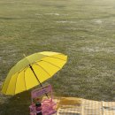 송학동고분군 화장실 이미지