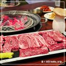 마블넘버나인 이미지