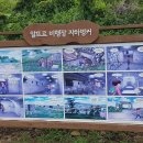 제주 모슬포 알뜨르 비행장 일제 지하벙커 이미지