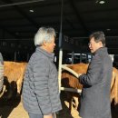 상인축산 이미지