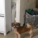 오좌동길 이미지