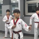태권도 오송 정도장 | 금호동 열정태권도 승급심사🥋