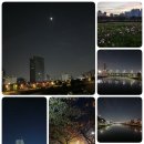 서울의달