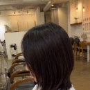 르솝(Le sop) 이미지