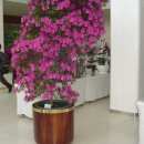 조이플라자 이미지