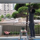 대우유토피아 이미지