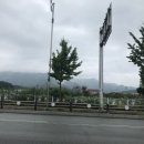 미암4리 이미지