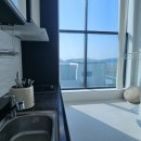 마레모어 이미지