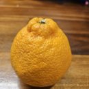 창주농장 이미지