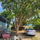 초당낚시터 이미지