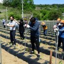 유촌2리 이미지