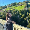 맘앤키즈프로그램 <내 친구 송아지> | [스위스 교환학생🇨🇭] 스위스에서 맞이한 개강 / 9월 일상