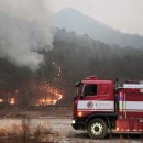 울진·삼척 산불에 비상근무하던 소방관 사망 이미지