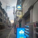 코지블루