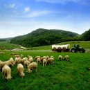 기관목장 이미지