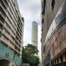 심천역 | 홍콩여행 후기... 이게 마지막 방문일 듯