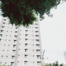 동양부동산중개사무소 이미지