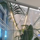 수원-0973 이미지