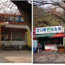 향나무민박 Daum카페