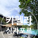 김선화 S.P 스파 | 싱가포르 카펠라 2일차｜프라이빗 풀, 오리가 스파, 파인애플룸 까지 리조트에서 보낸 하루