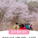 금산개구리