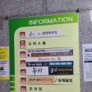 네일823(Nail823)