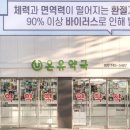 정이비인후과 | 탈모성지 종로 코코이비인후과, 온유약국 미녹시딜정 구입후기