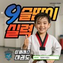 펀 태권도장 이미지