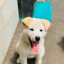 한산보건지소 이미지