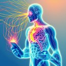 부왕개발 이미지