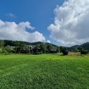 대관령 느린마을 이미지