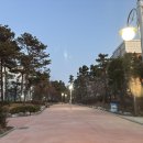 영마루공원 농구장 이미지