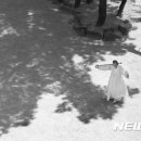 명무 이미지