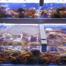 장기동애니카손세차장 이미지