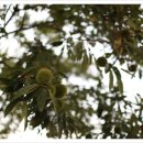 기산농장 이미지