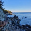 7/12(토) ~ 7/13 영덕 &amp; 울진 여행 공지 이미지