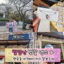 달보드레공방 | 경기 수원 팔달산 벚꽃 명소 & 행궁동 비건 베이커리 카페