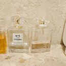 하운드호텔 이미지