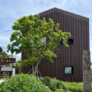 화부산막국수 | '26 강릉여행 #2. 카페 툇마루, 경포생태저류지 메타세콰이어 산책, 오죽헌 커피잔 뱃놀이, 곤드레...