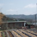 신동리 이미지