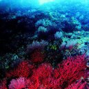 산호수산 이미지